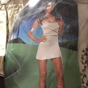 Oh my Goddess Halloween costume